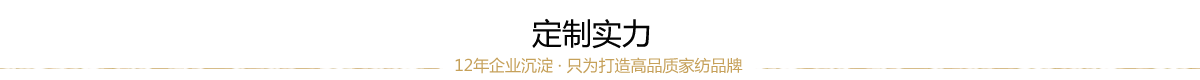 定制实力